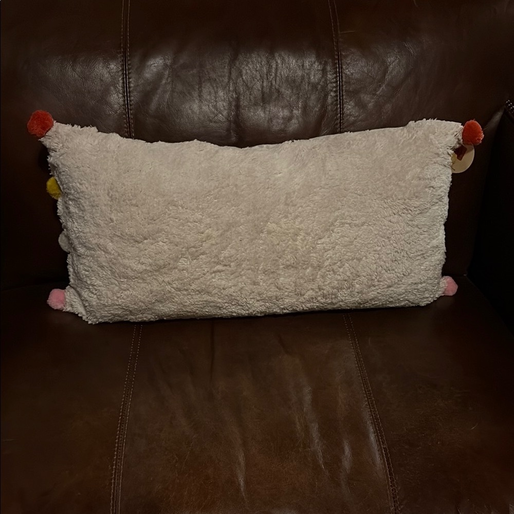 2 Throw Pillows with Colorful Pom Poms